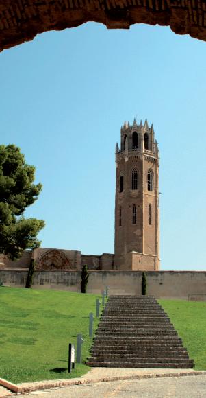 50 CONGRESO DE LA ASOCIACIÓN ESPAÑOLA DE CIENCIA AVÍCOLA